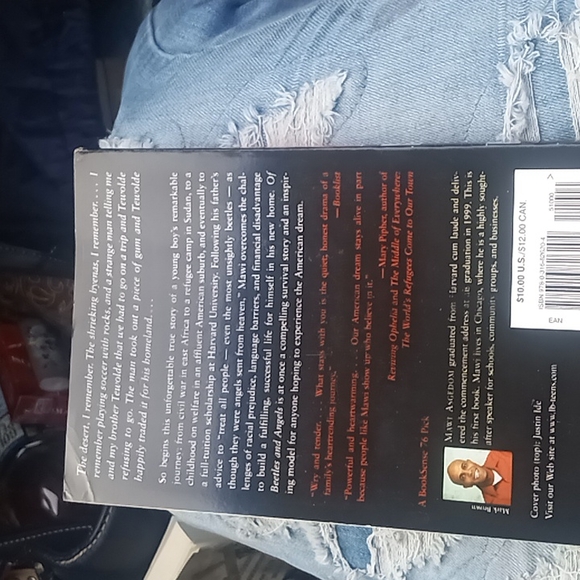 Book of beetles & angels - Picture 2 of 4